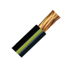 Canadian Battery store