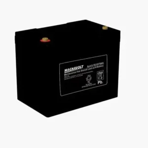 Canadian Battery store