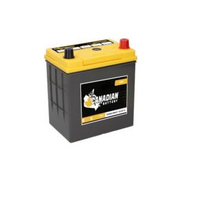 Canadian Battery store